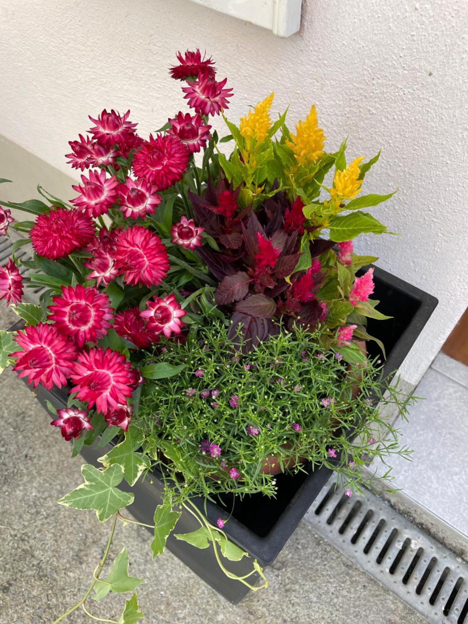 Ferienwohnung Emma An Der Romantischen Strasse 魏克尔斯海姆 外观 照片